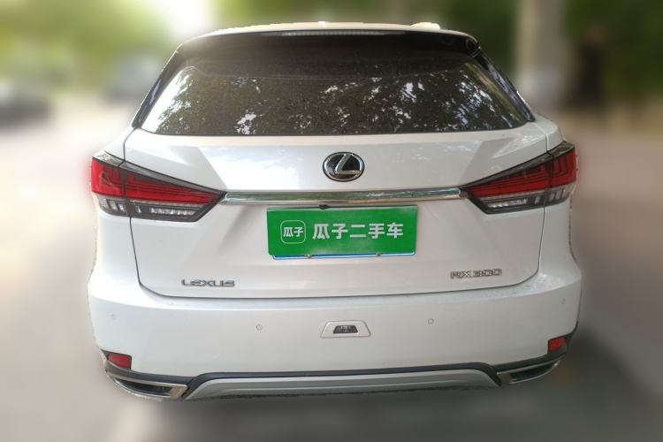 Used Lexus RX 2020 Facelifted 300 4x4 Elegant Edition Rear