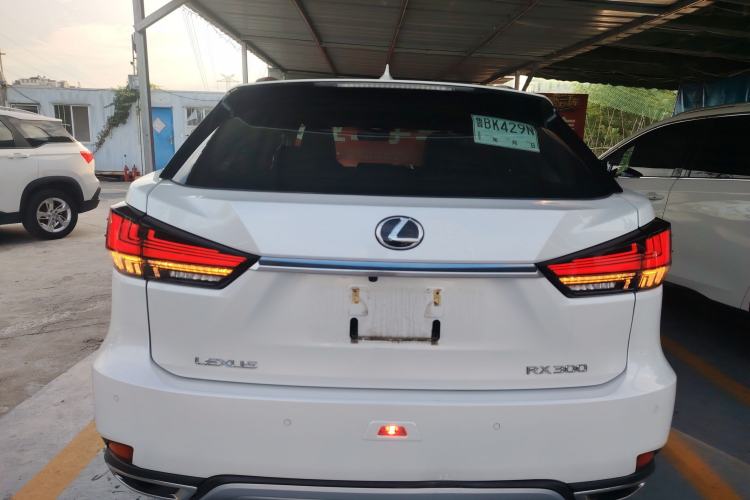 Used Lexus RX 2020 Revised Version 300 Two-Wheel Drive Comfort Edition Rear