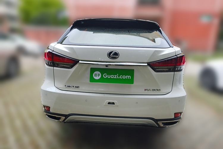 Used Lexus RX 2020 300 Two-Wheel Drive Elite Edition China VI Standard Rear