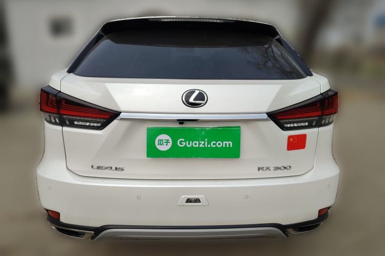 Used Lexus RX 2020 300 4x4 Elegant Edition China VI Rear
