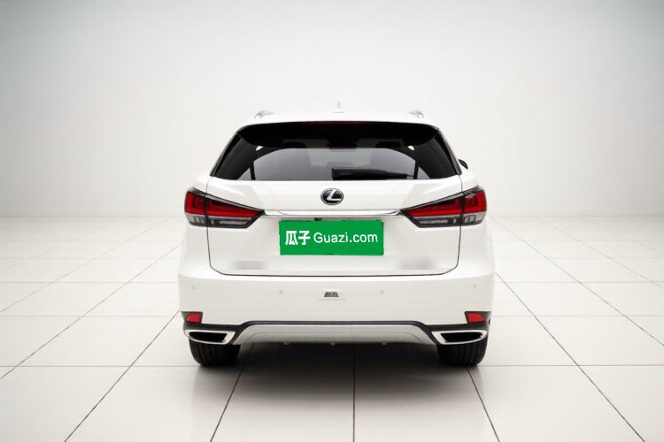 Used Lexus RX 2020 300 4x4 Elegant Edition China VI Rear