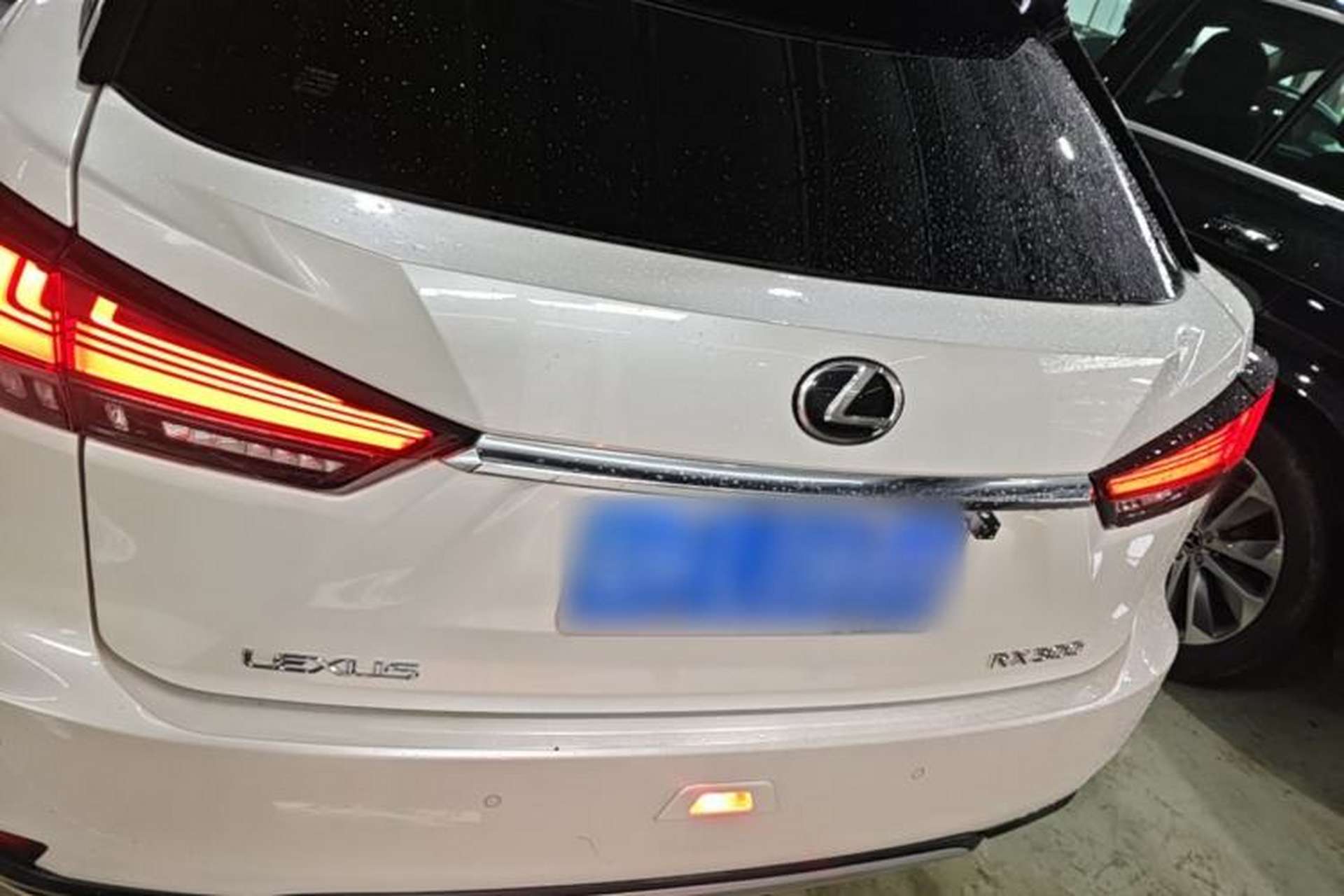 Used Lexus RX 2020 300 4x4 Elegant Edition China VI Rear