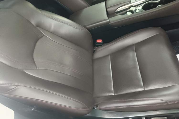 Used Lexus RX 2020 300 4x4 Elegant Edition China VI Right Front Seat