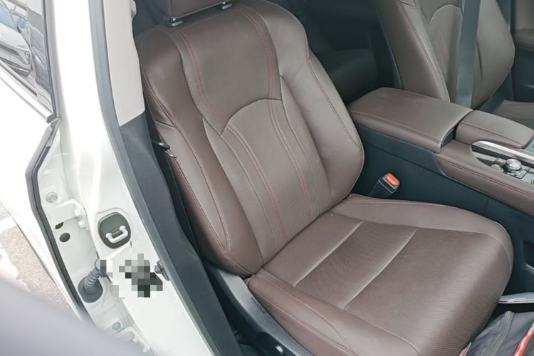 Used Lexus RX 2020 300 4x4 Elegant Edition China VI Right Front Seat