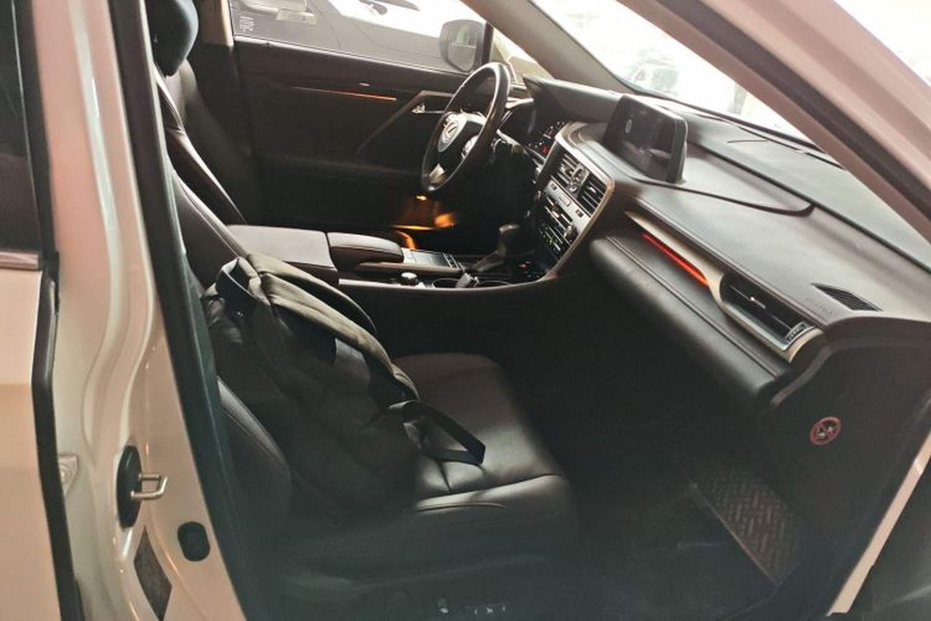 Used Lexus RX 2020 Revised Version 300 Two-Wheel Drive Comfort Edition Right Front Seat