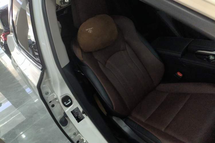 Used Lexus RX 2020 300 Two-Wheel Drive Elite Edition China VI Standard Right Front Seat