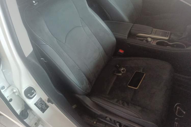 Used Lexus RX 2020 300 Two-Wheel Drive Elite Edition China VI Standard Right Front Seat