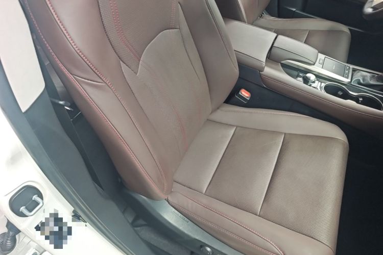 Used Lexus RX 2020 Revised Version 300 Two-Wheel Drive Comfort Edition Right Front Seat