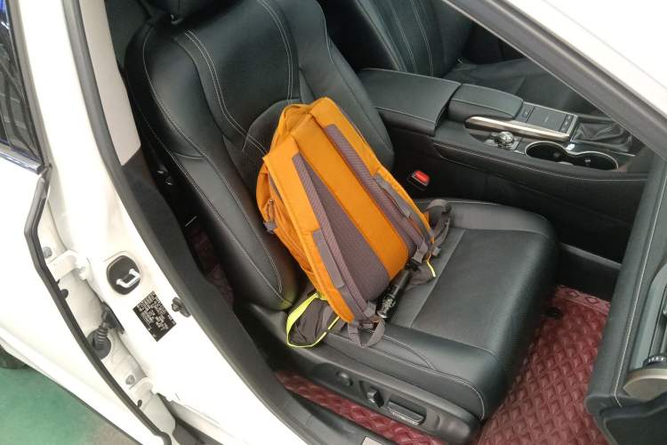 Used Lexus RX 2020 300 4x4 Elegant Edition China VI Right Front Seat