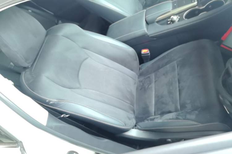 Used Lexus RX 2020 300 Two-Wheel Drive Elite Edition China VI Standard Right Front Seat