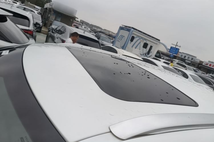 Used Lexus RX 2020 Revised Version 300 Two-Wheel Drive Elite Edition Roof