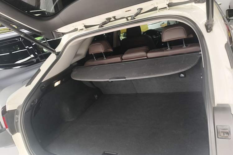 Used Lexus RX 2020 300 4x4 Elegant Edition China VI Trunk