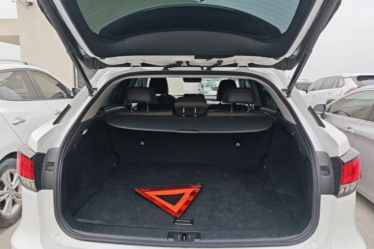 Used Lexus RX 2020 300 4x4 Elegant Edition China VI Trunk