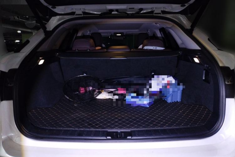 Used Lexus RX 2020 Facelifted 300 4x4 Elegant Edition Trunk