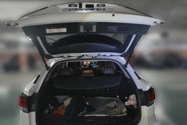 Used Lexus RX 2020 300 4x4 Elegant Edition China VI Trunk