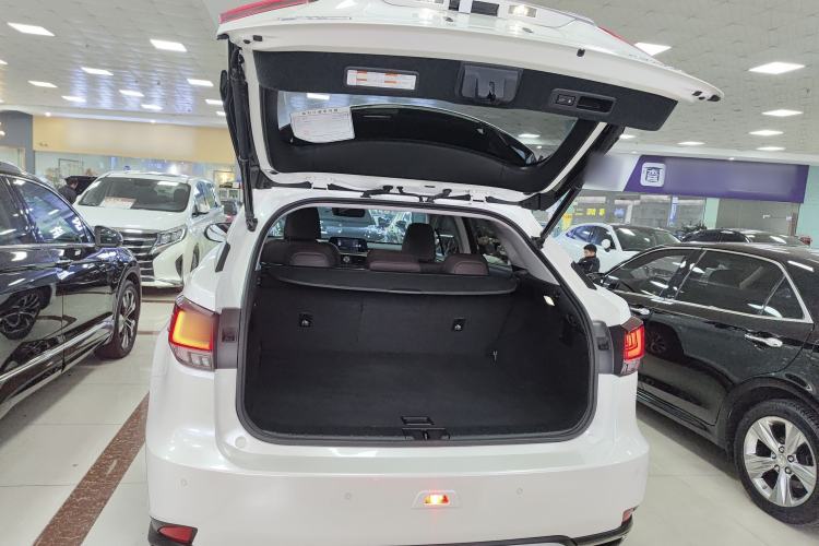 Used Lexus RX 2020 300 Two-Wheel Drive Comfort Edition China VI Standard Trunk