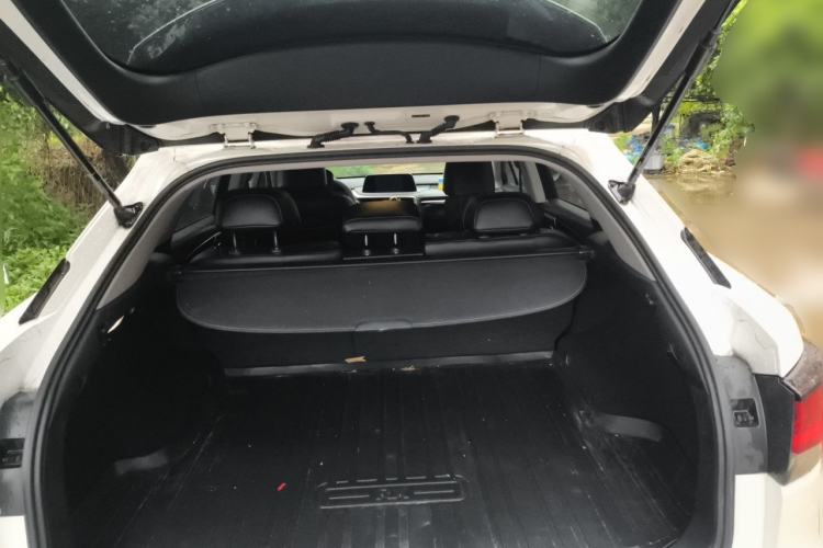 Used Lexus RX 2020 300 Two-Wheel Drive Elite Edition China VI Standard Trunk
