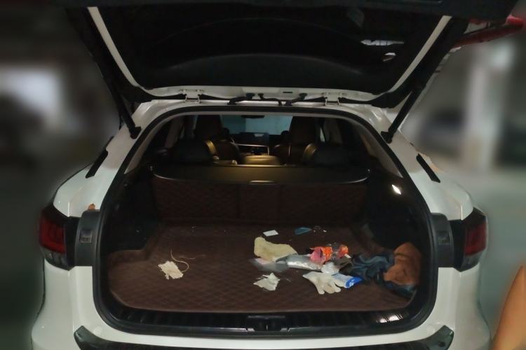 Used Lexus RX 2020 300 4x4 Elegant Edition China VI Trunk