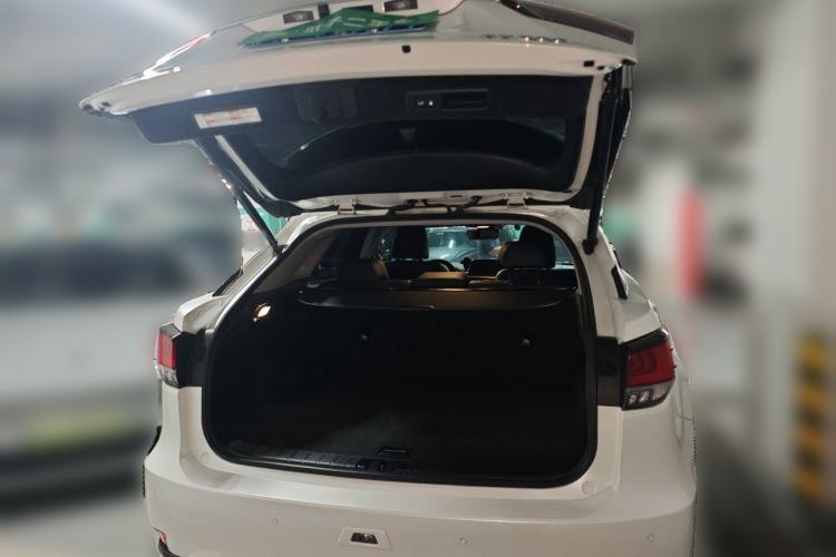 Used Lexus RX 2020 Facelifted 300 4x4 Elegant Edition Trunk