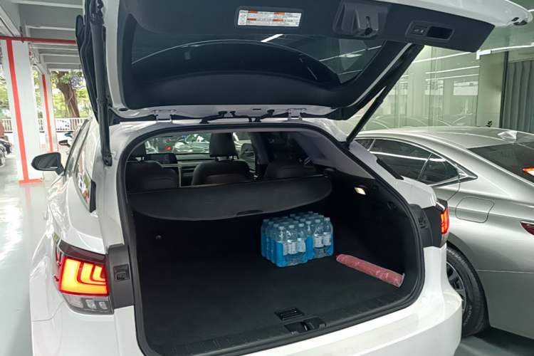 Used Lexus RX 2020 Facelifted 300 4x4 Elegant Edition Trunk