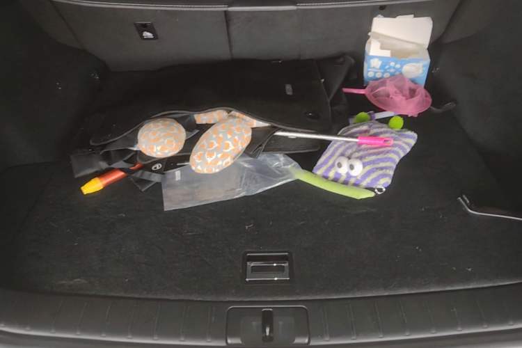 Used Lexus RX 2020 300 4x4 Elegant Edition China VI Trunk