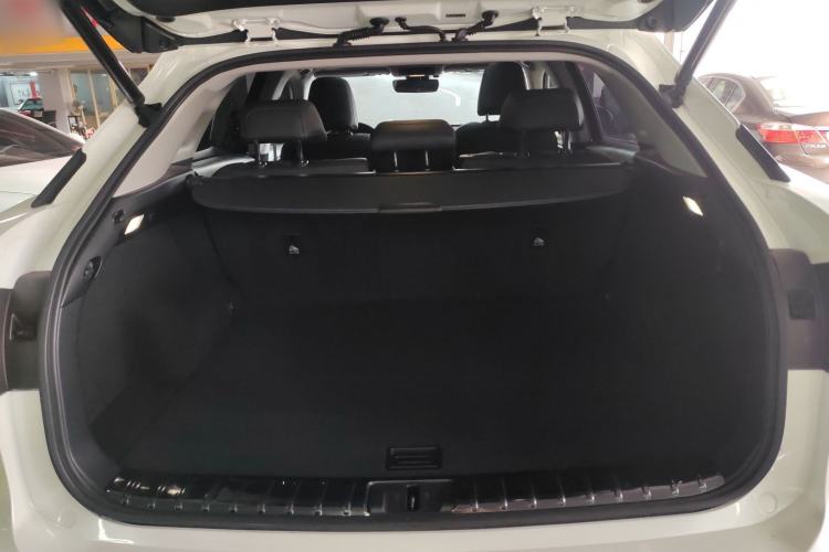 Used Lexus RX 2020 Facelifted 300 4x4 Elegant Edition Trunk