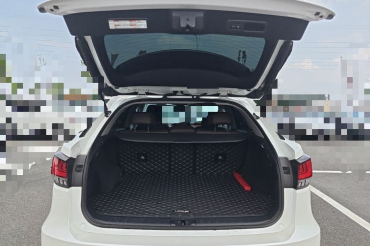 Used Lexus RX 2020 Facelifted 300 4x4 Elegant Edition Trunk