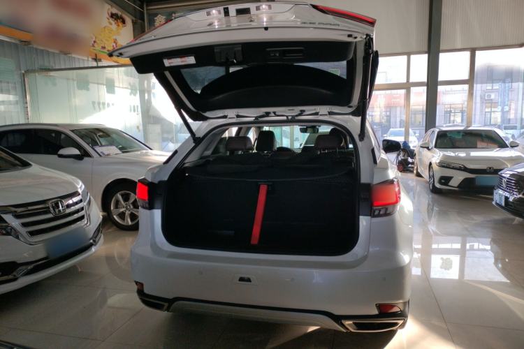 Used Lexus RX 2020 Facelifted 300 4x4 Elegant Edition Trunk
