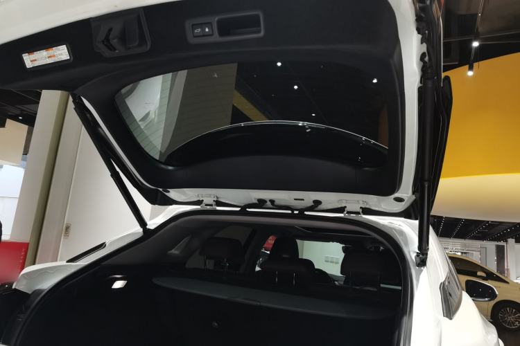 Used Lexus RX 2020 Facelifted 300 4x4 Elegant Edition Trunk