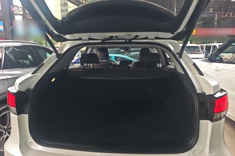 Used Lexus RX 2020 Revised Version 300 Two-Wheel Drive Comfort Edition Trunk