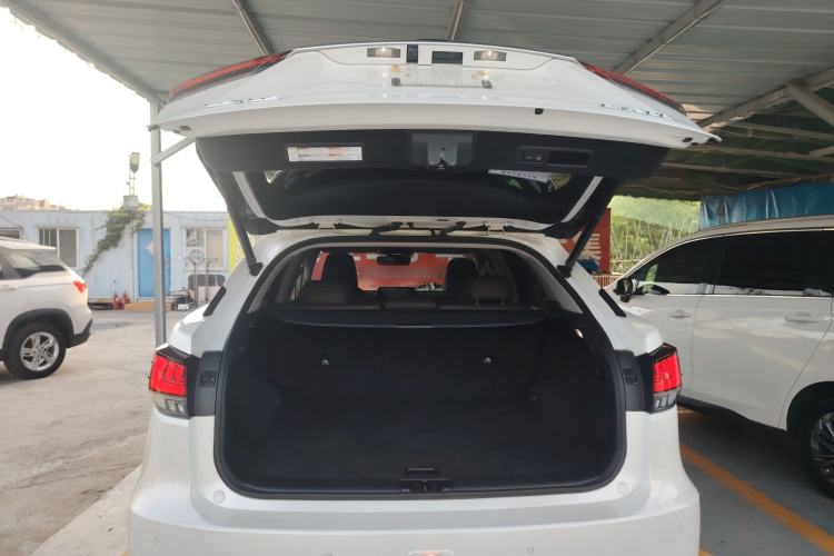 Used Lexus RX 2020 Revised Version 300 Two-Wheel Drive Comfort Edition Trunk