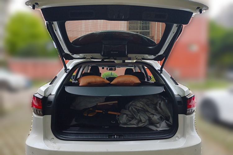 Used Lexus RX 2020 300 Two-Wheel Drive Elite Edition China VI Standard Trunk