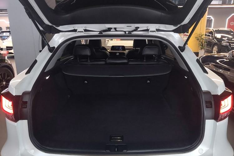 Used Lexus RX 2020 Revised Version 300 Two-Wheel Drive Elite Edition Trunk