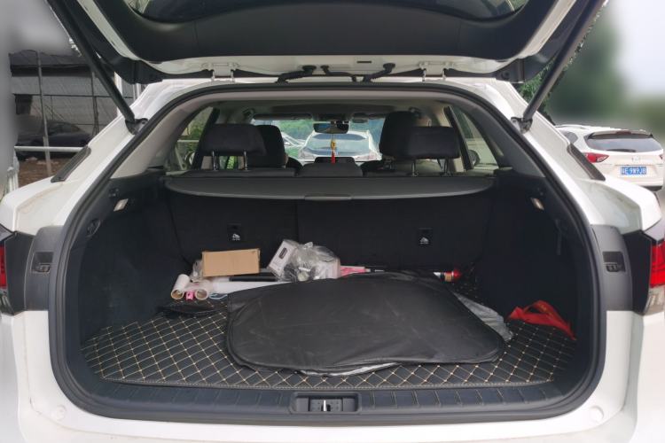 Used Lexus RX 2020 300 Two-Wheel Drive Elite Edition China VI Standard Trunk
