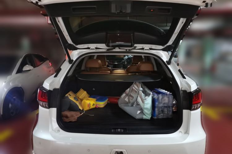 Used Lexus RX 2020 Revised Version 300 Two-Wheel Drive Elite Edition Trunk