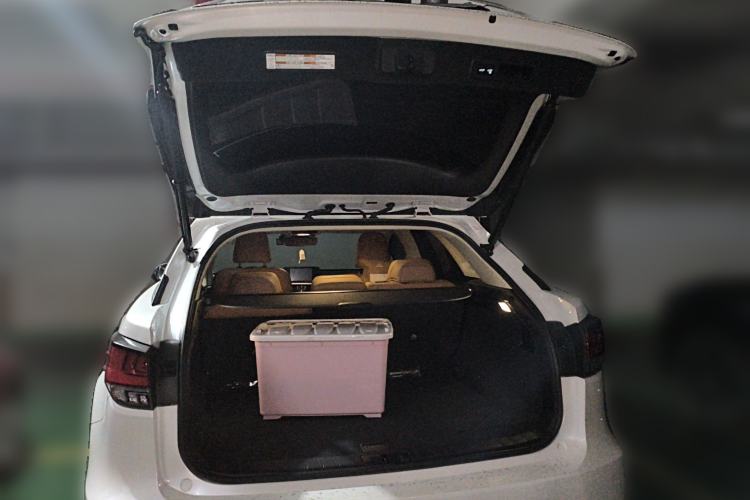 Used Lexus RX 2020 Facelifted 300 4x4 Elegant Edition Trunk
