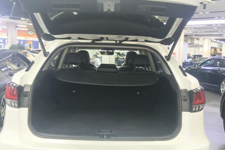 Used Lexus RX 2020 Revised Version 300 Two-Wheel Drive Elite Edition Trunk