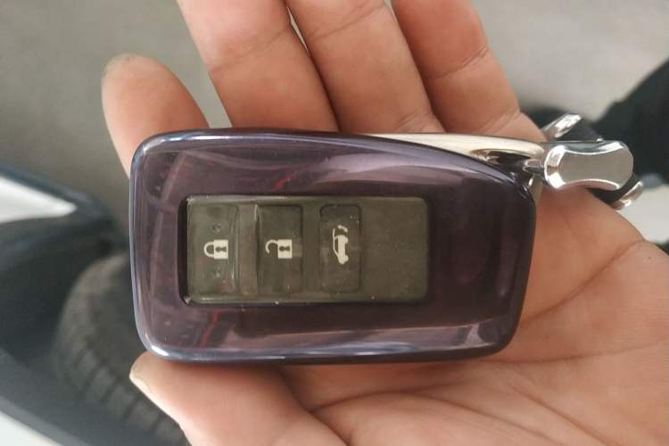 Used Lexus RX 2020 Revised Version 300 Two-Wheel Drive Comfort Edition Vehicle Key