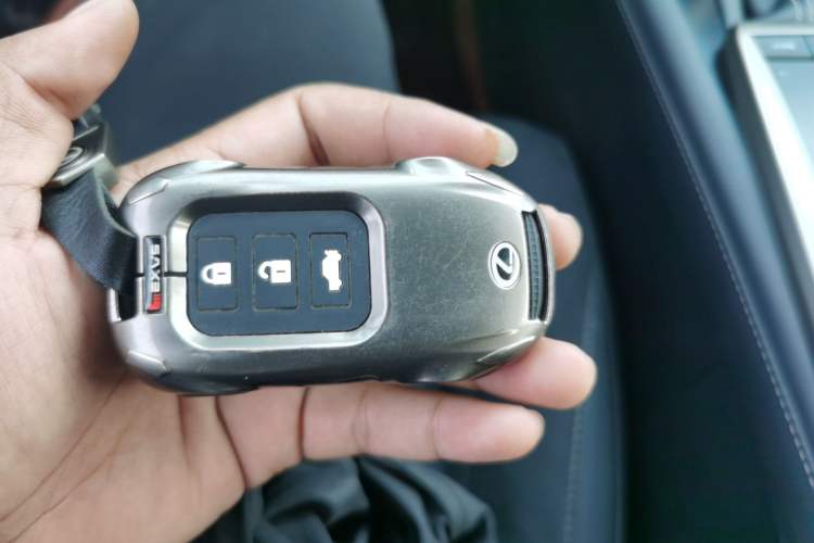 Used Lexus RX 2020 300 Two-Wheel Drive Elite Edition China VI Standard Vehicle Key