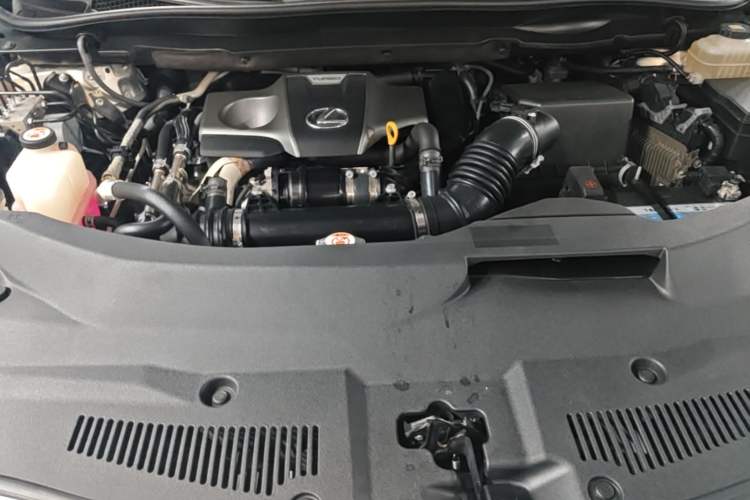 Used Lexus RX 2020 300 4x4 Elegant Edition China VI Engine Bay