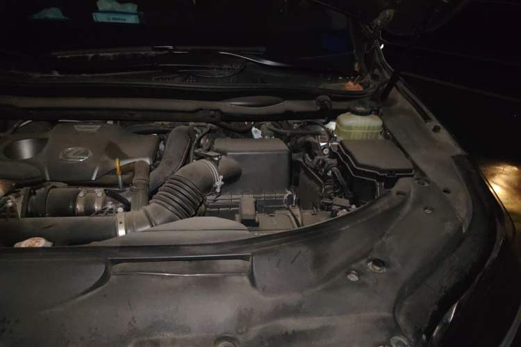 Used Lexus RX 2020 300 4x4 Elegant Edition China VI Engine Bay Left