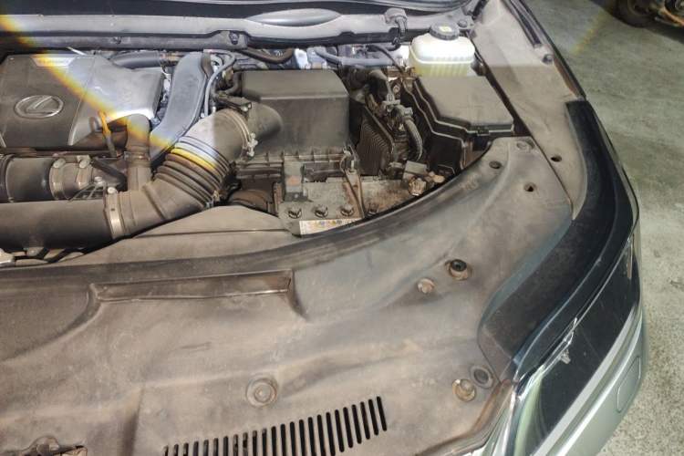 Used Lexus RX 2020 300 Two-Wheel Drive Comfort Edition China VI Standard Engine Bay Left