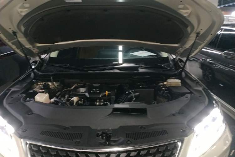 Used Lexus RX 2020 300 4x4 Elegant Edition China VI Engine Bay
