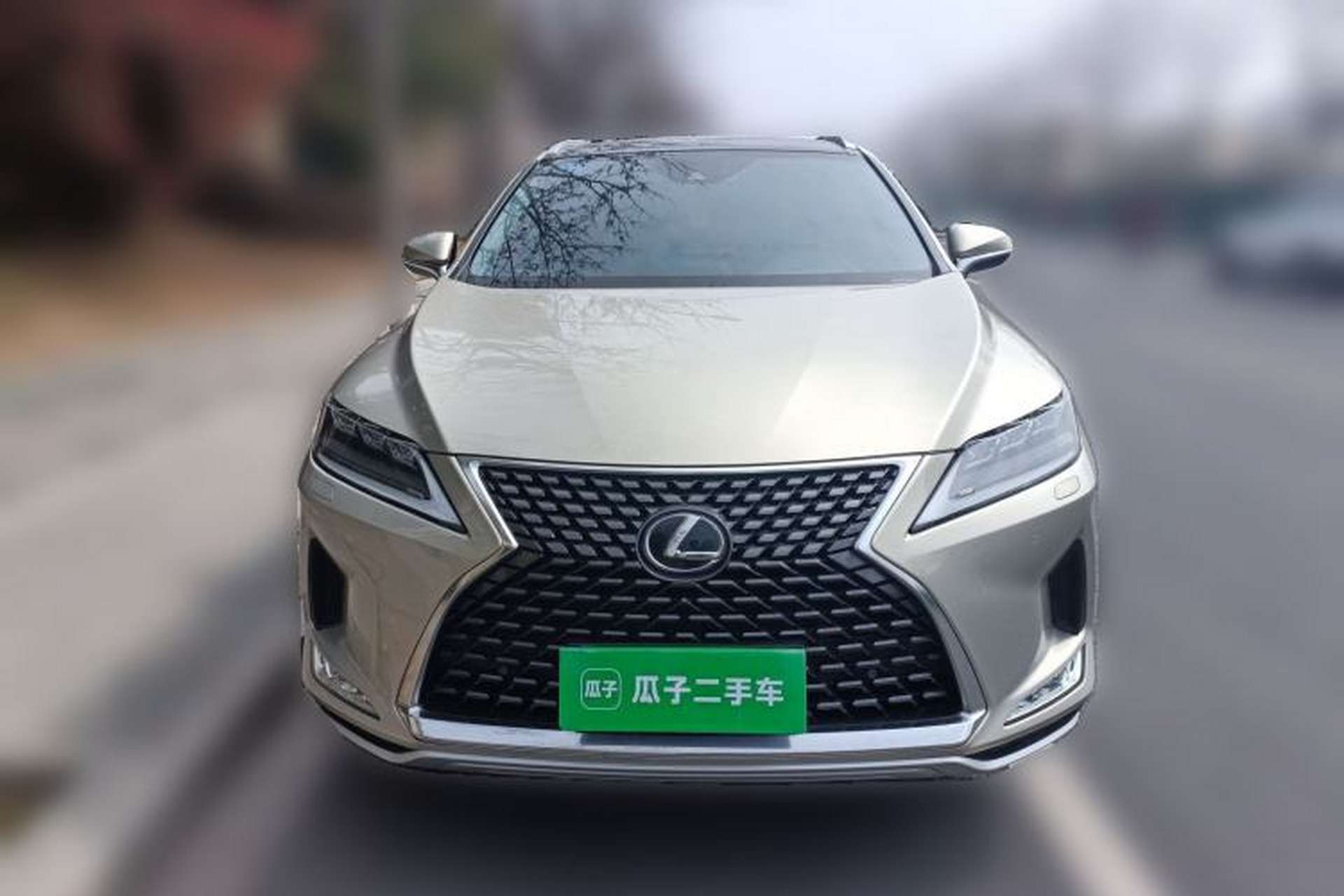 Used Lexus RX 2020 300 4x4 Elegant Edition China VI Front
