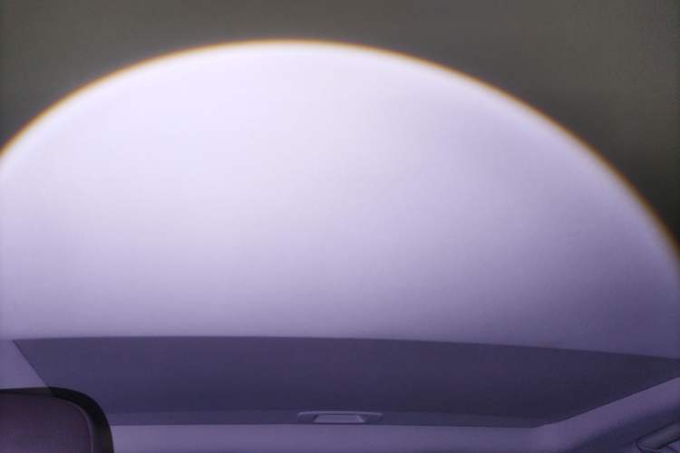 Used Lexus RX 2020 450h Four-Wheel Drive Elegant Edition China VI Standard Headliner