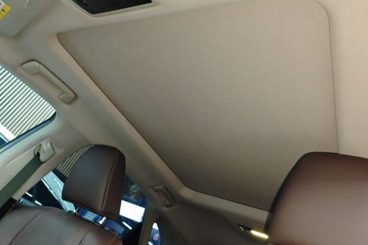 Used Lexus RX 2020 Facelifted 300 4x4 Elegant Edition Headliner