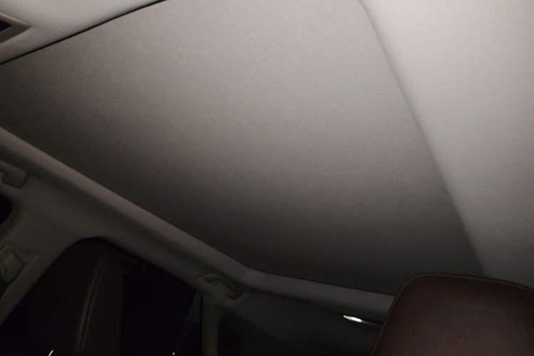 Used Lexus RX 2020 300 4x4 Elegant Edition China VI Headliner