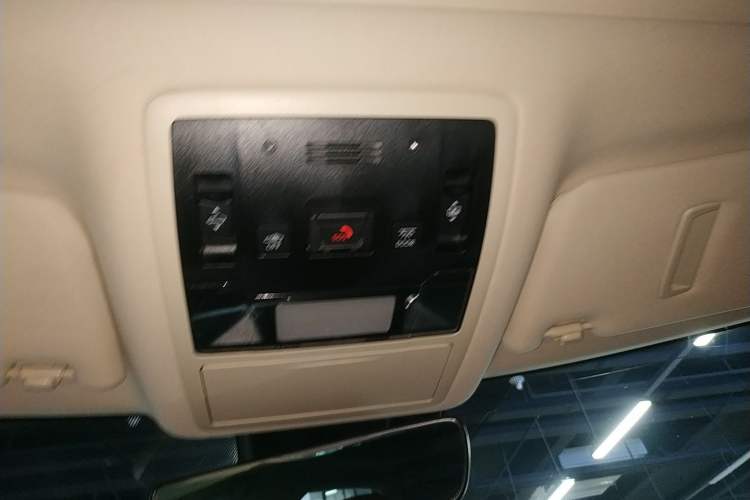 Used Lexus RX 2020 300 4x4 Elegant Edition China VI Headliner