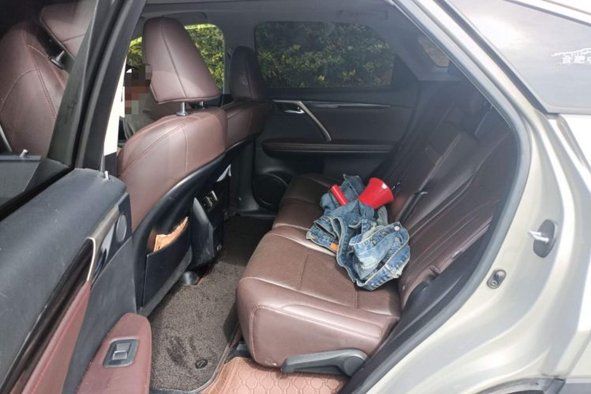 Used Lexus RX 2020 300 4x4 Elegant Edition China VI Left Rear Seat