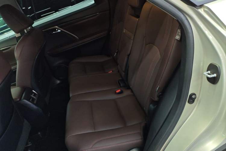 Used Lexus RX 2020 Facelifted 300 4x4 Elegant Edition Left Rear Seat
